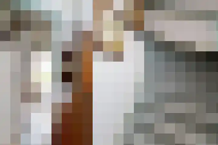 Oude Appelaarsedijk 2 Fijnaart thumbnail 8