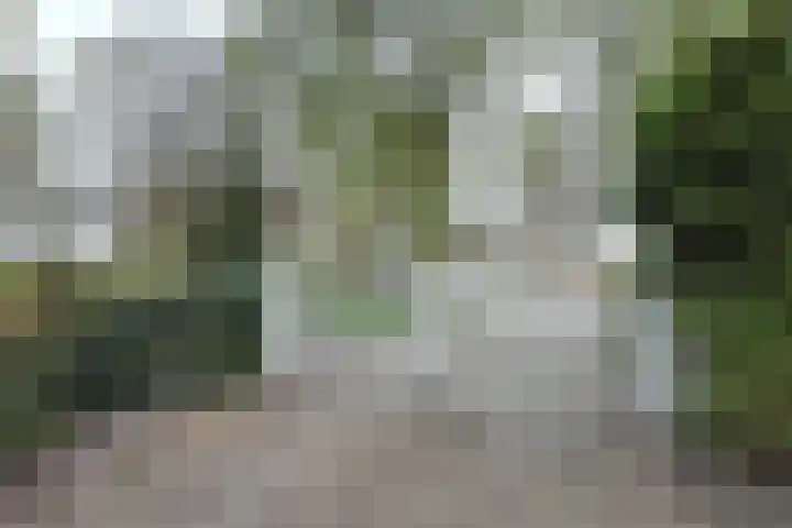 Oude Appelaarsedijk 2 Fijnaart thumbnail 80