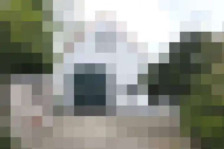 Oude Appelaarsedijk 2 Fijnaart thumbnail 81