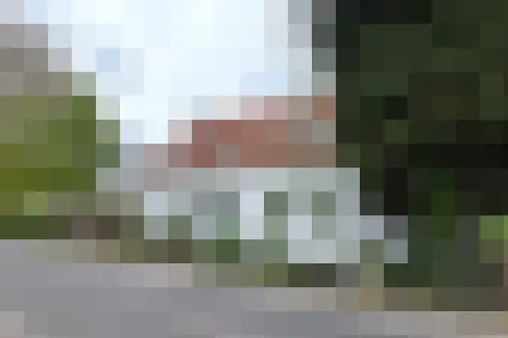 Oude Appelaarsedijk 2 Fijnaart thumbnail 84