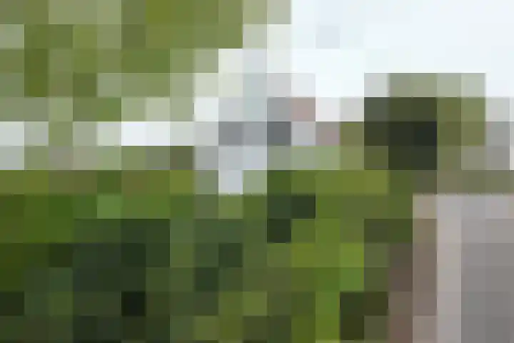 Oude Appelaarsedijk 2 Fijnaart thumbnail 85