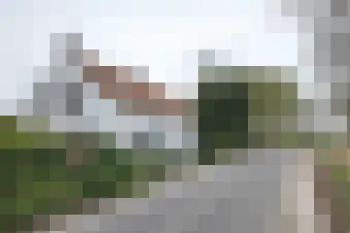 Oude Appelaarsedijk 2 Fijnaart thumbnail 86