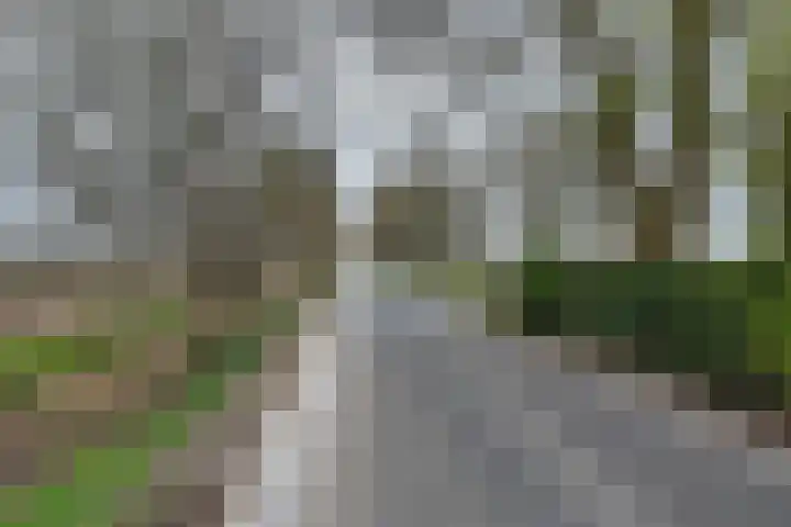 Oude Appelaarsedijk 2 Fijnaart thumbnail 87