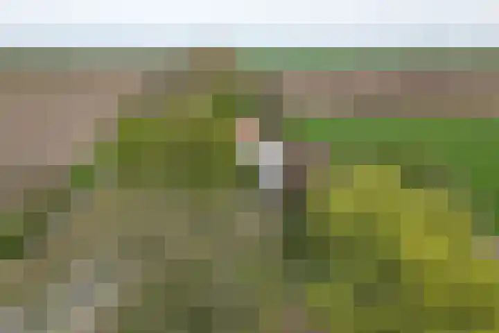 Oude Appelaarsedijk 2 Fijnaart thumbnail 88