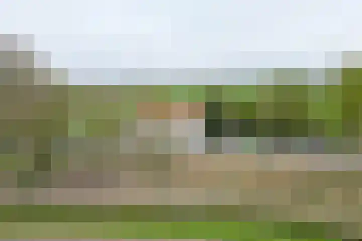 Oude Appelaarsedijk 2 Fijnaart thumbnail 89