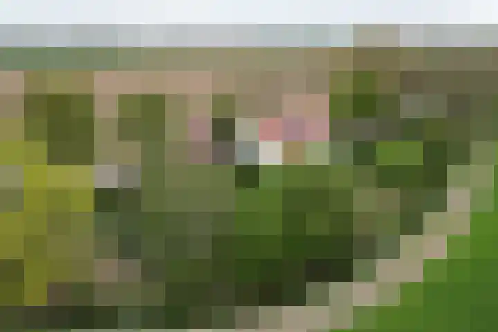 Oude Appelaarsedijk 2 Fijnaart thumbnail 90