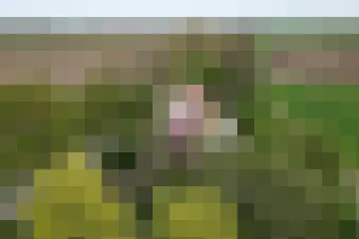 Oude Appelaarsedijk 2 Fijnaart thumbnail 91