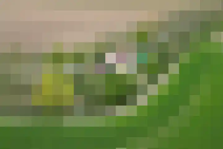 Oude Appelaarsedijk 2 Fijnaart thumbnail 92