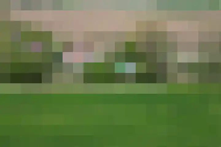 Oude Appelaarsedijk 2 Fijnaart thumbnail 93