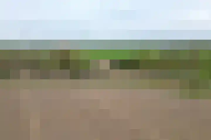 Oude Appelaarsedijk 2 Fijnaart thumbnail 95