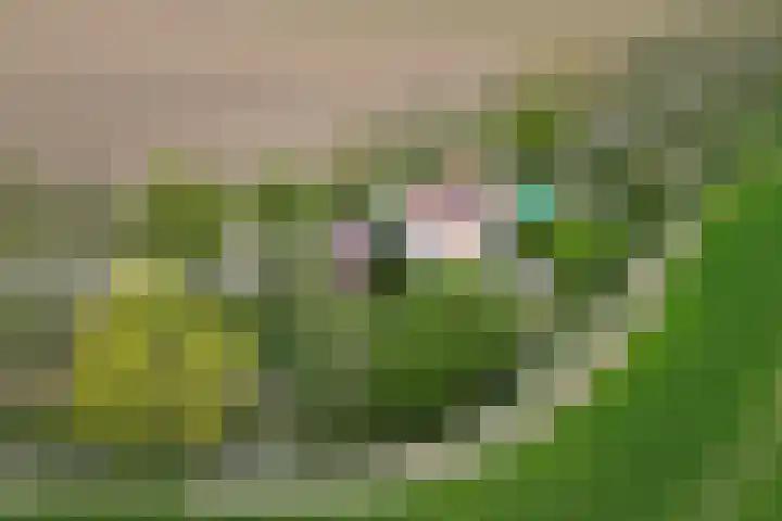 Oude Appelaarsedijk 2 Fijnaart thumbnail 99