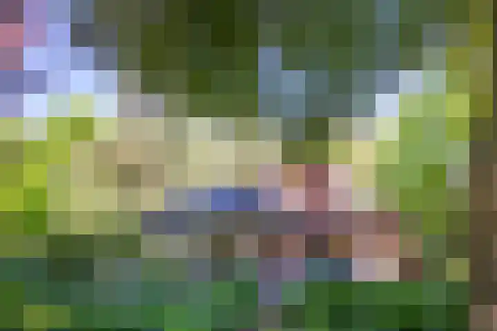Oude Arnhemse Bovenweg 16 Doorn thumbnail 28