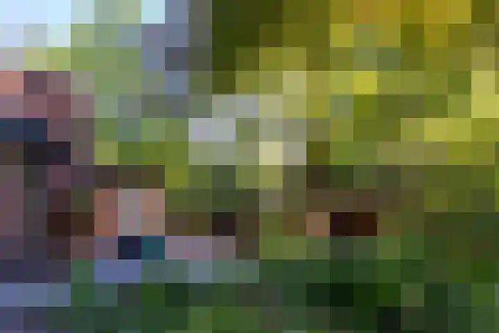 Oude Arnhemse Bovenweg 16 Doorn thumbnail 32