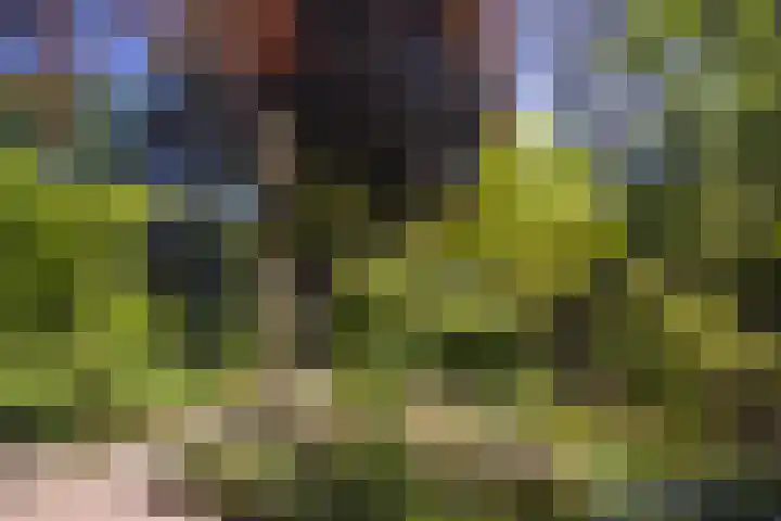 Oude Arnhemse Bovenweg 16 Doorn thumbnail 33
