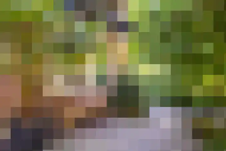 Oude Arnhemse Bovenweg 16 Doorn thumbnail 34