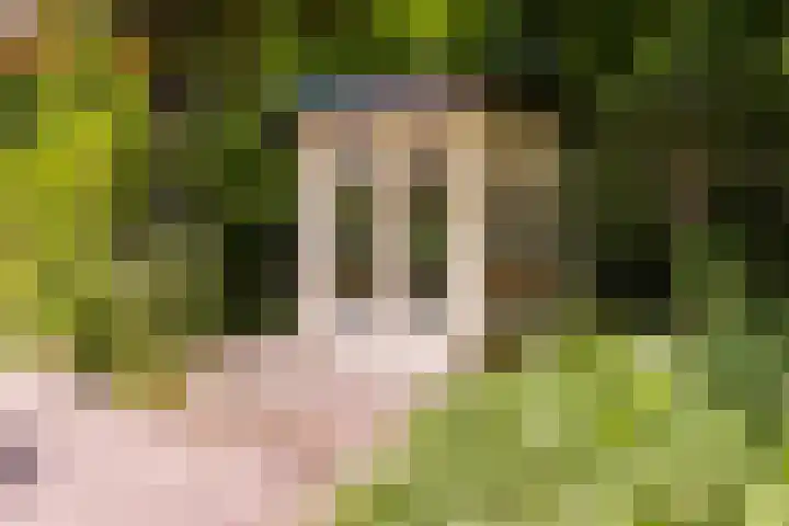 Oude Arnhemse Bovenweg 16 Doorn thumbnail 37