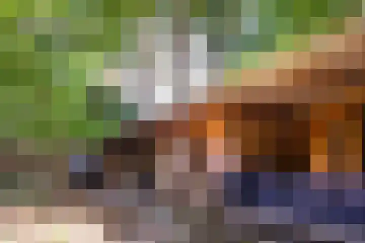 Oude Arnhemse Bovenweg 16 Doorn thumbnail 39