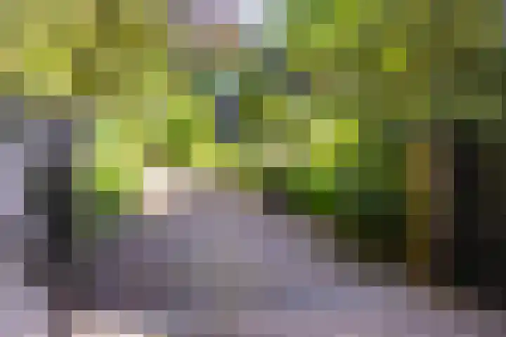 Oude Arnhemse Bovenweg 16 Doorn thumbnail 4