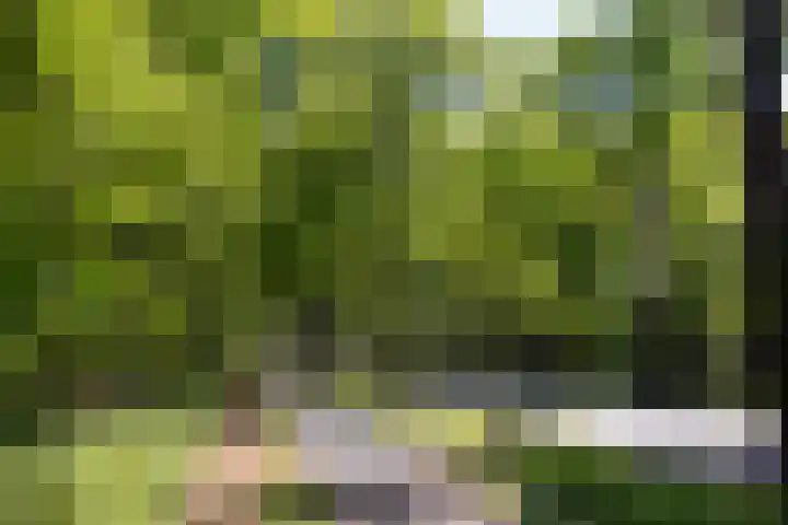 Oude Arnhemse Bovenweg 16 Doorn thumbnail 41