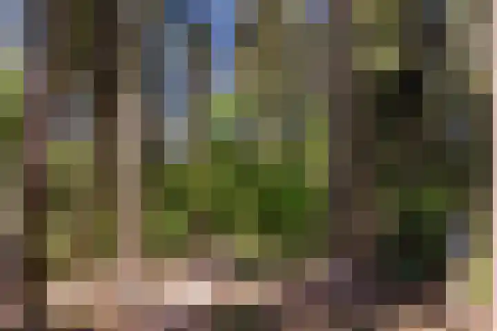 Oude Arnhemse Bovenweg 16 Doorn thumbnail 42