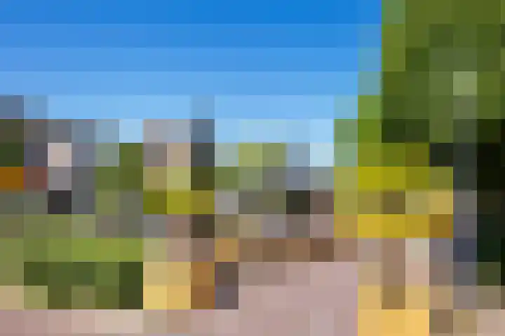 Oude Arnhemse Bovenweg 16 Doorn thumbnail 44