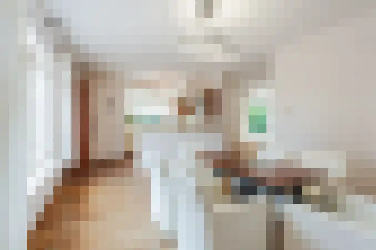 Oude Arnhemsekarweg 17 Ermelo thumbnail 13