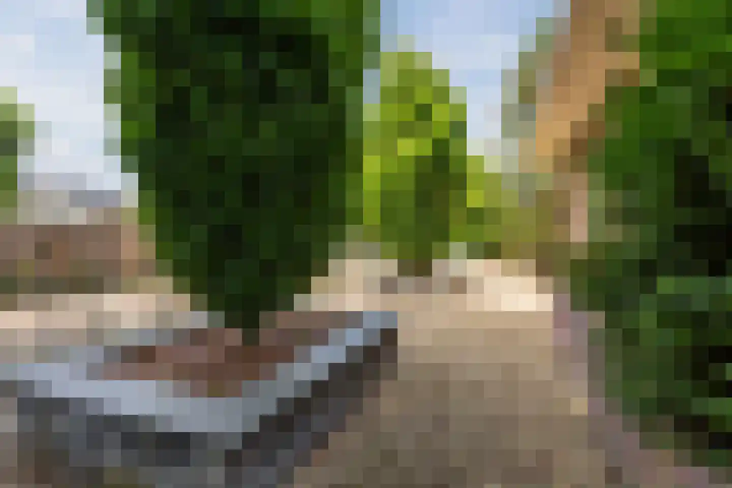 Oude Arnhemsekarweg 17 Ermelo thumbnail 36