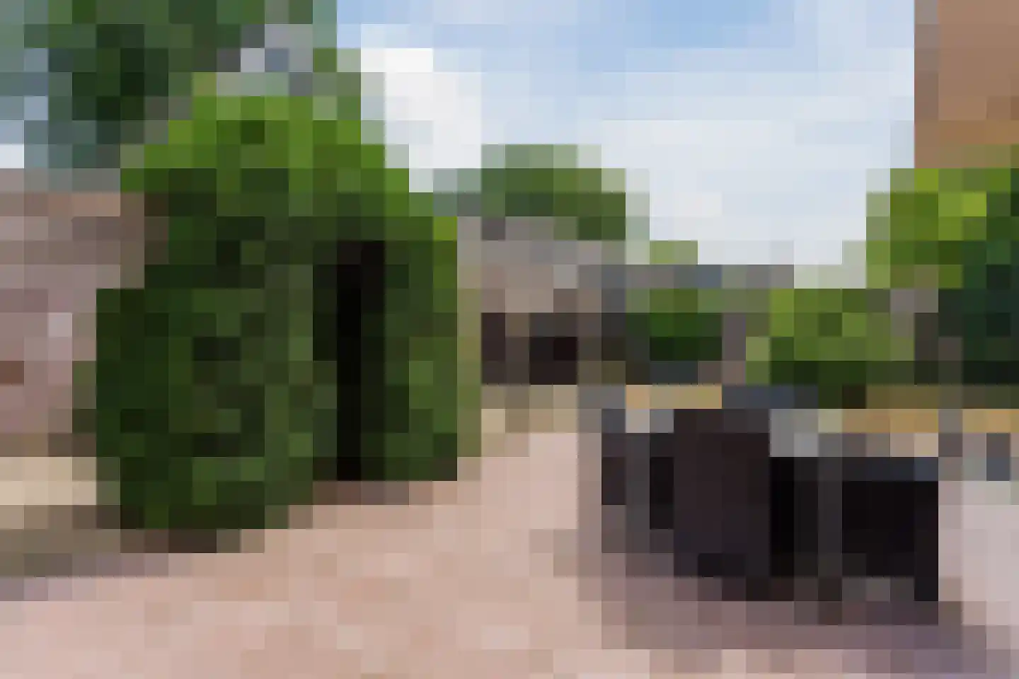 Oude Arnhemsekarweg 17 Ermelo thumbnail 39
