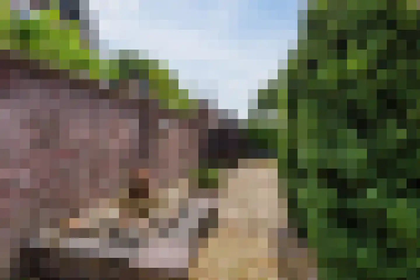 Oude Arnhemsekarweg 17 Ermelo thumbnail 41