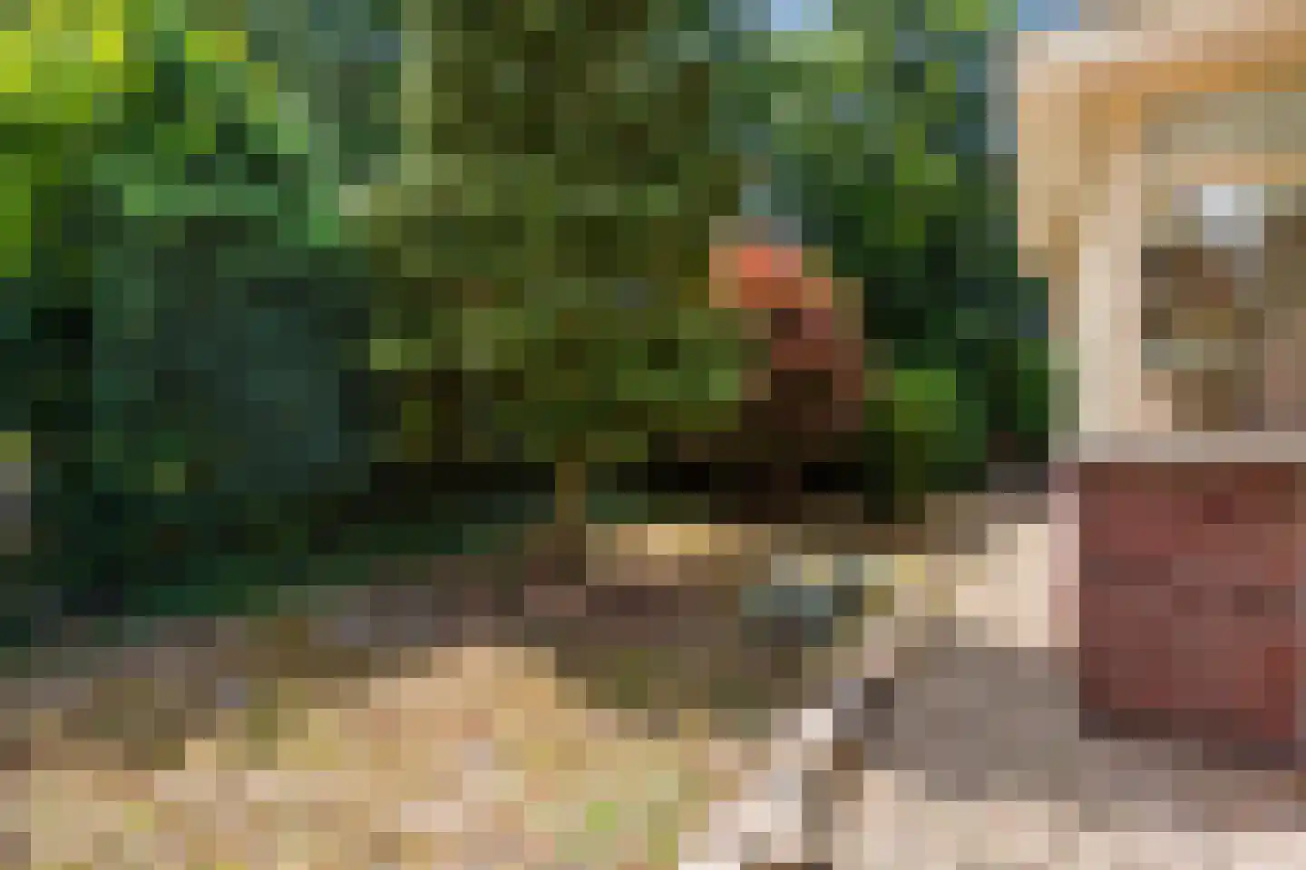 Oude Arnhemsekarweg 17 Ermelo thumbnail 42