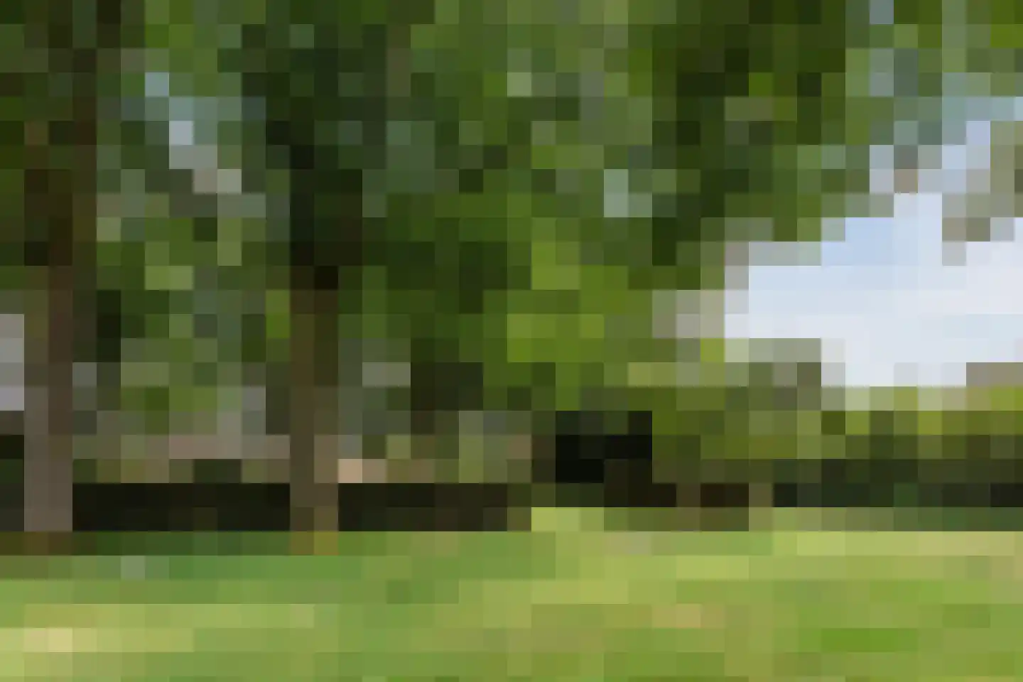 Oude Arnhemsekarweg 17 Ermelo thumbnail 44