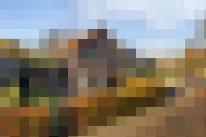 Oude Arnhemsekarweg 44 Ermelo thumbnail 4