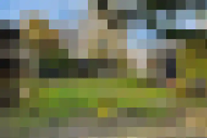 Oude Arnhemsekarweg 44 Ermelo thumbnail 45