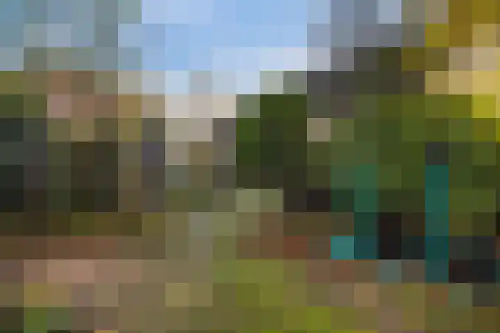 Oude Arnhemsekarweg 44 Ermelo thumbnail 47
