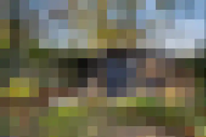 Oude Arnhemsekarweg 44 Ermelo thumbnail 48