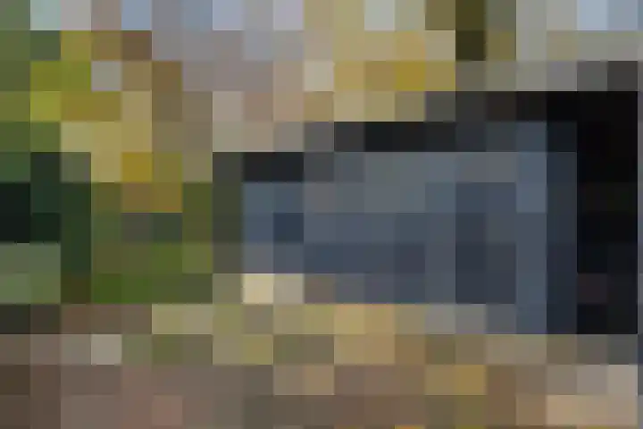 Oude Arnhemsekarweg 44 Ermelo thumbnail 49