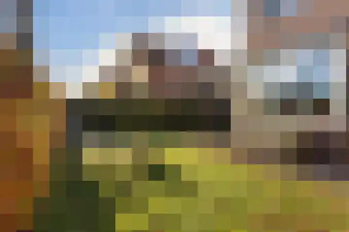 Oude Arnhemsekarweg 44 Ermelo thumbnail 51