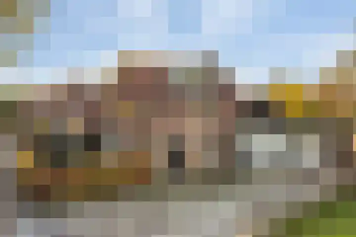 Oude Arnhemsekarweg 44 Ermelo thumbnail 53