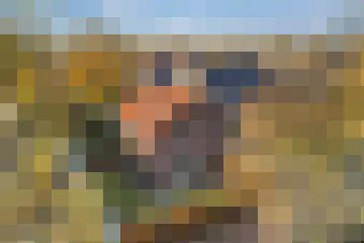 Oude Arnhemsekarweg 44 Ermelo thumbnail 54