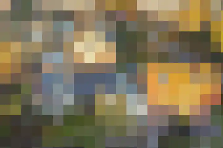 Oude Arnhemsekarweg 44 Ermelo thumbnail 57