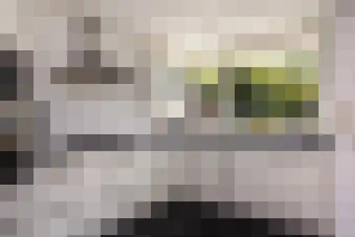 Oude Arnhemseweg 111 Zeist thumbnail 14