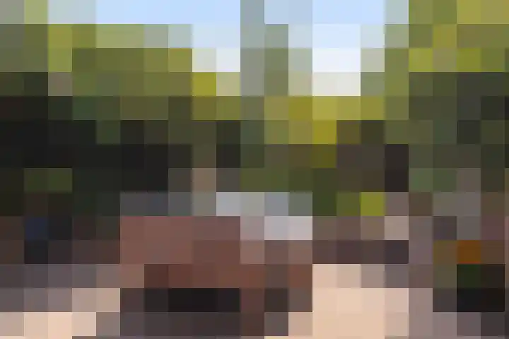 Oude Arnhemseweg 111 Zeist thumbnail 16