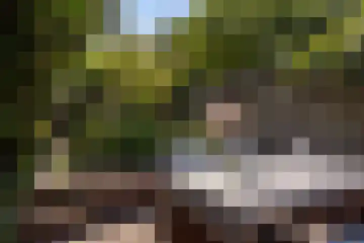 Oude Arnhemseweg 111 Zeist thumbnail 17