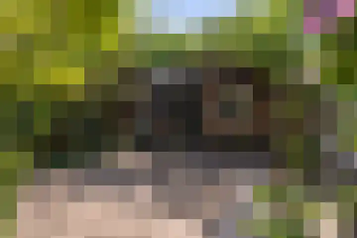 Oude Arnhemseweg 111 Zeist thumbnail 18