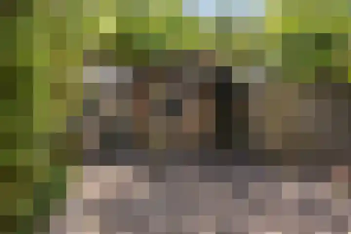 Oude Arnhemseweg 111 Zeist thumbnail 21