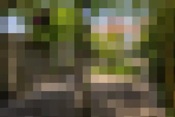 Oude Arnhemseweg 111 Zeist thumbnail 22