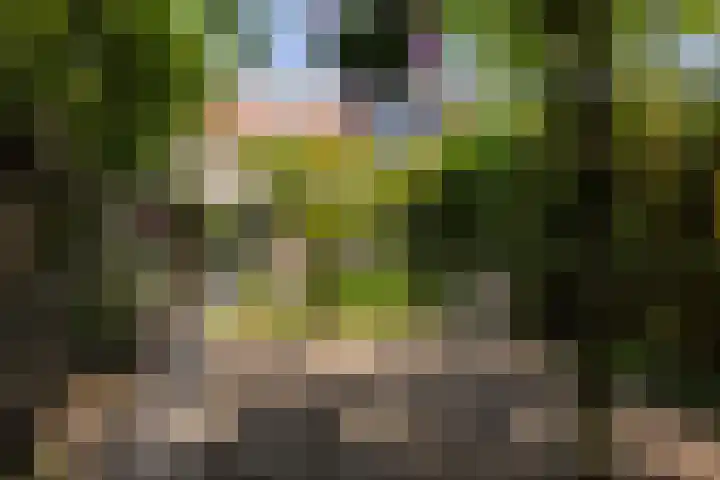 Oude Arnhemseweg 111 Zeist thumbnail 23