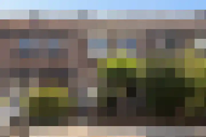 Oude Arnhemseweg 111 Zeist thumbnail 31