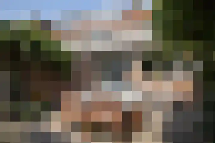 Oude Arnhemseweg 111 Zeist thumbnail 4