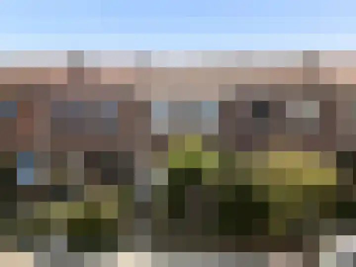 Oude Arnhemseweg 111 Zeist thumbnail 5